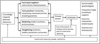 The Context of Application of Biosecurity for Control of African Swine Fever in Smallholder Pig Systems: Current Gaps and Recommendations